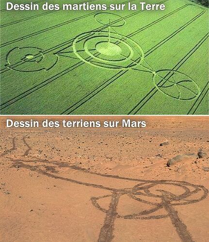 12799169_779917548805592_875900053742552879_n