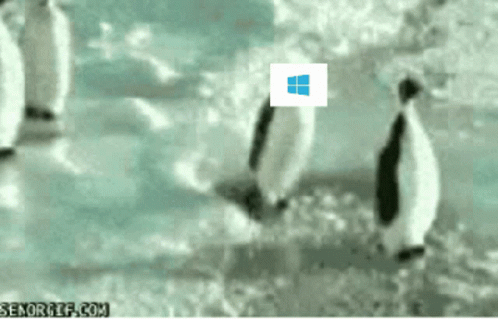 Linux Linux Is Better GIF - Linux Linux Is Better Why Linux Is Better -...