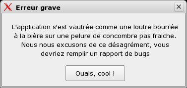 erreur_grave.33b6454375c00721