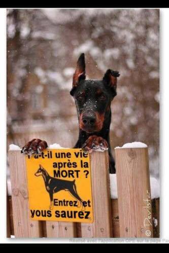 17103743_433990080276048_6128504333499922050_n