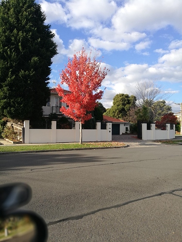 thumbnail_IMG_20190514_152051