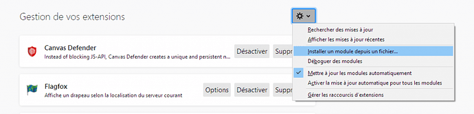 Screenshot_2019-05-05%20Modules%20compl%C3%A9mentaire%20Firefox%20
