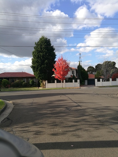 thumbnail_IMG_20190514_151912