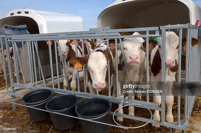 gettyimages-967405788-2048x2048