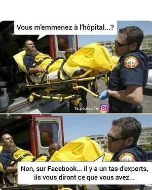 FB et les experts