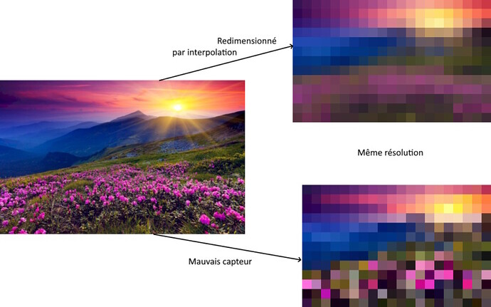comparaison