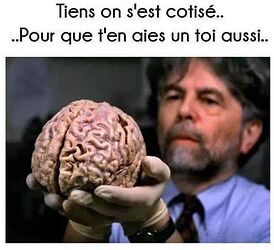 Cerveau offert