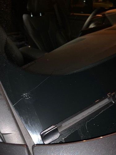 photo_2020-03-05_13-24-10