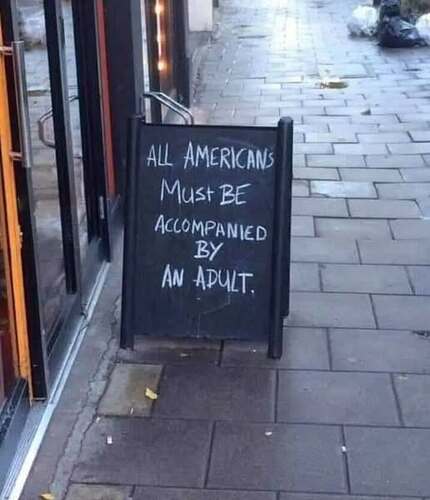 Americains accompagnes par un adulte