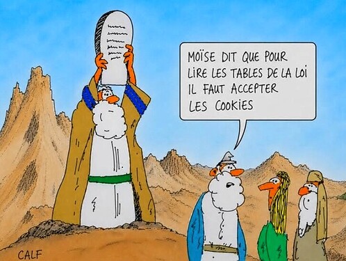 Cookies et Moise