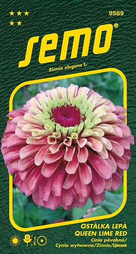 9589_ostálka-QUEEN-LIME-RED-2