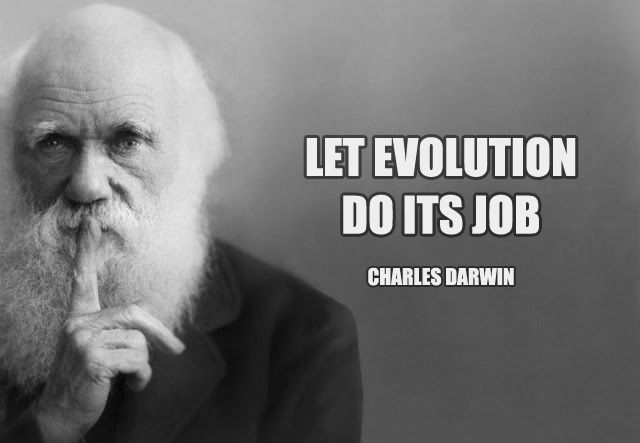 Darwin